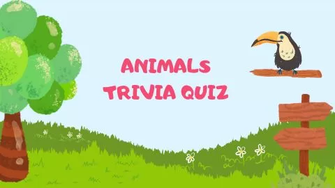 Animals Trivia Quiz - Pequenos Fluentes