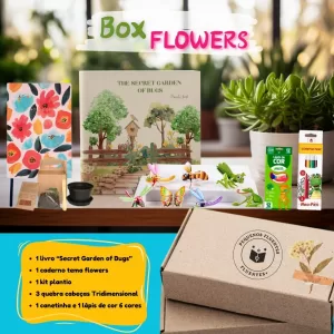 Box Flowers - Pequenos Fluentes